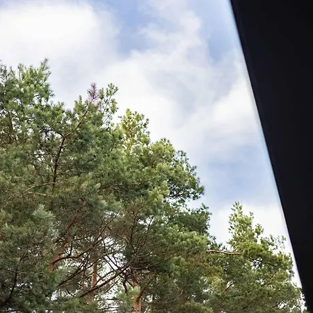 Pine Forest View With Balcony, By Cohost *