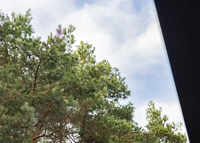 Pine Forest View With Balcony, By Cohost *