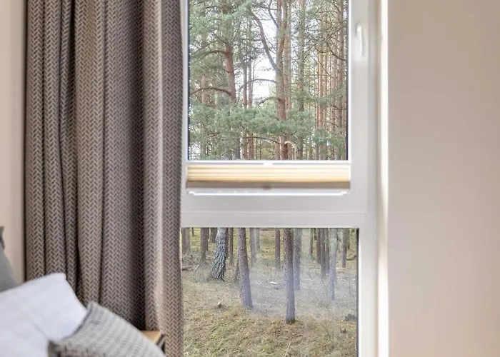 Pine Forest View With Balcony, By Cohost Palanga